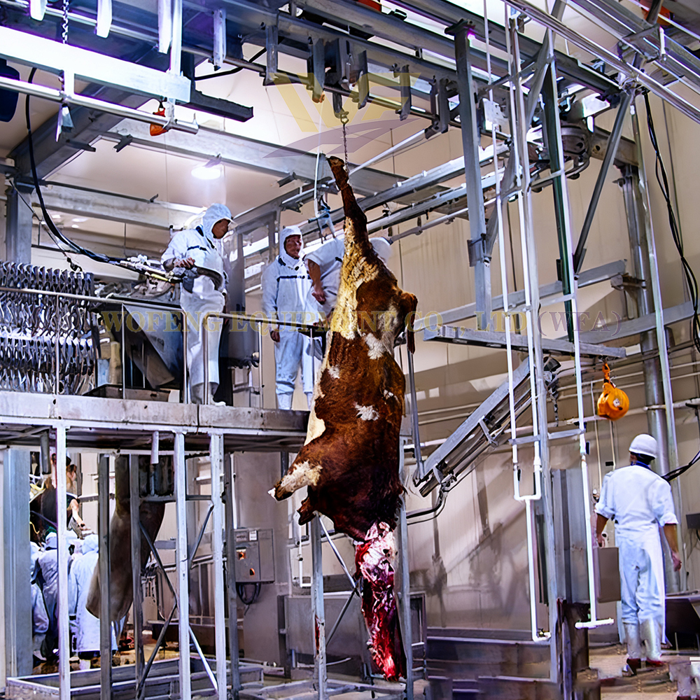 Small Scale Slaughter House Machine Cattle Bleeding Rail Abattoir