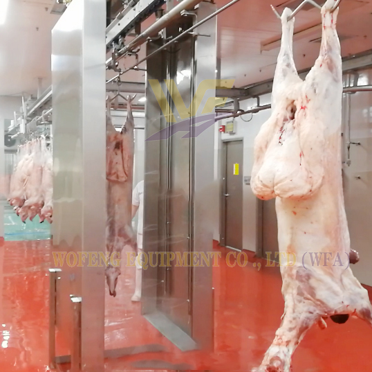 Slaughterhouse Equipment Goat Carcass Washing Machine Butcher Project