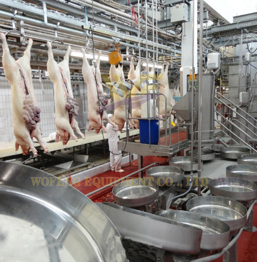 Pig Butcher Equipment White Red Offal Synchronous Quarantine Conveyor Slaughter Machine