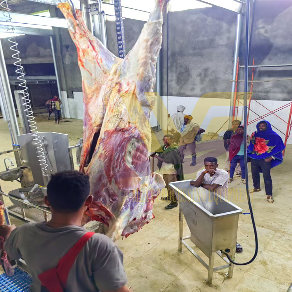 Equipos de carnicería y sacrificio para matadero de pavos