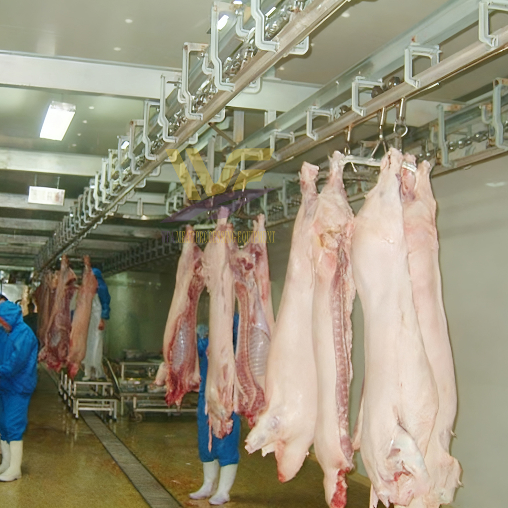 Operación de sacrificio de cerdos Matar cerdos de forma inhumana