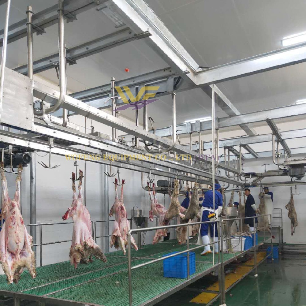 Sheep slaughter line
