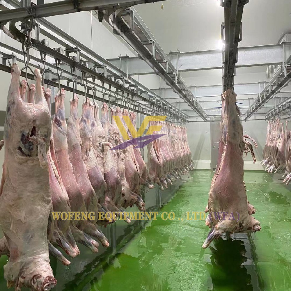 Sheep Slaughter House
