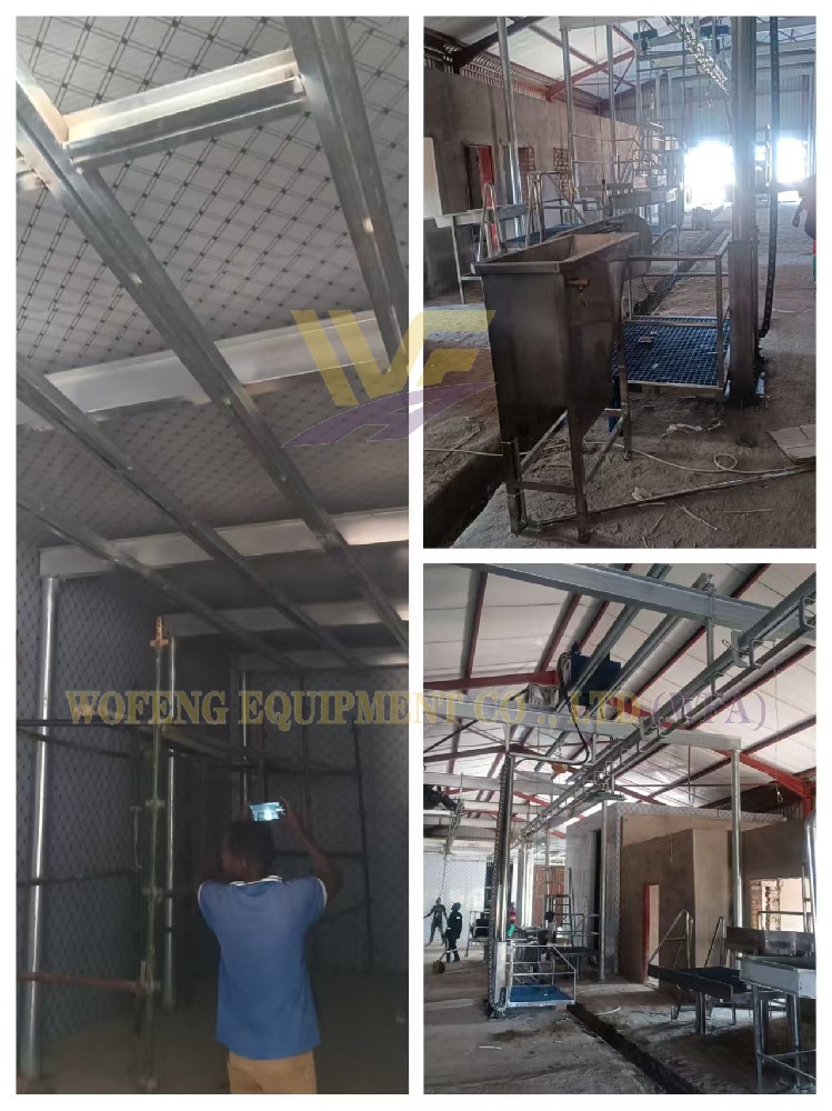 Modern Cattle Slaughter Line Installed in East Africa to Boost Meat Safety and Efficiency