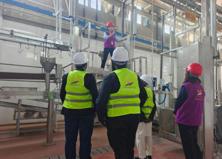Nigeria Customers Visit Slaughterhouse, Focus on WFA Engineering Slaughter Line Technology