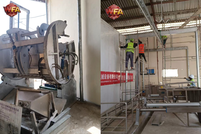 Driving Industrial Excellence: WFA Engineering Successfully Delivers Advanced Cattle & Sheep Slaughtering Equipment Solution in Nigeria