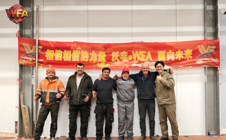 WFA Engineering 100–200 Cattle/Hour Slaughterhouse Project in Ireland Successfully Completed, Securing New Follow-up Order