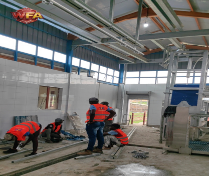 17+ Years of Expertise in Global Slaughter Equipment | WFA Engineering Custom 150 Cattle & 300 Sheep Per Shift Slaughter Line Launches in Uganda, Winning High Praise for Products & Services