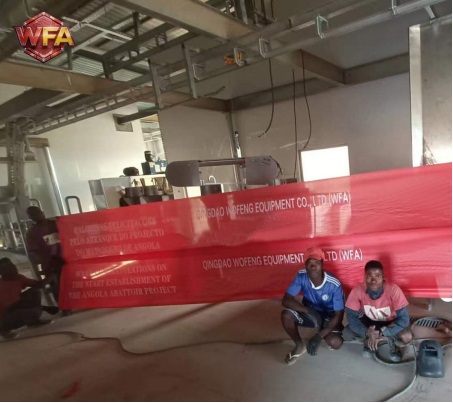 Angola Client Orders Capacity Expansion After Zero-Failure Operation of WFA Engineering Custom Pig Slaughter Machine